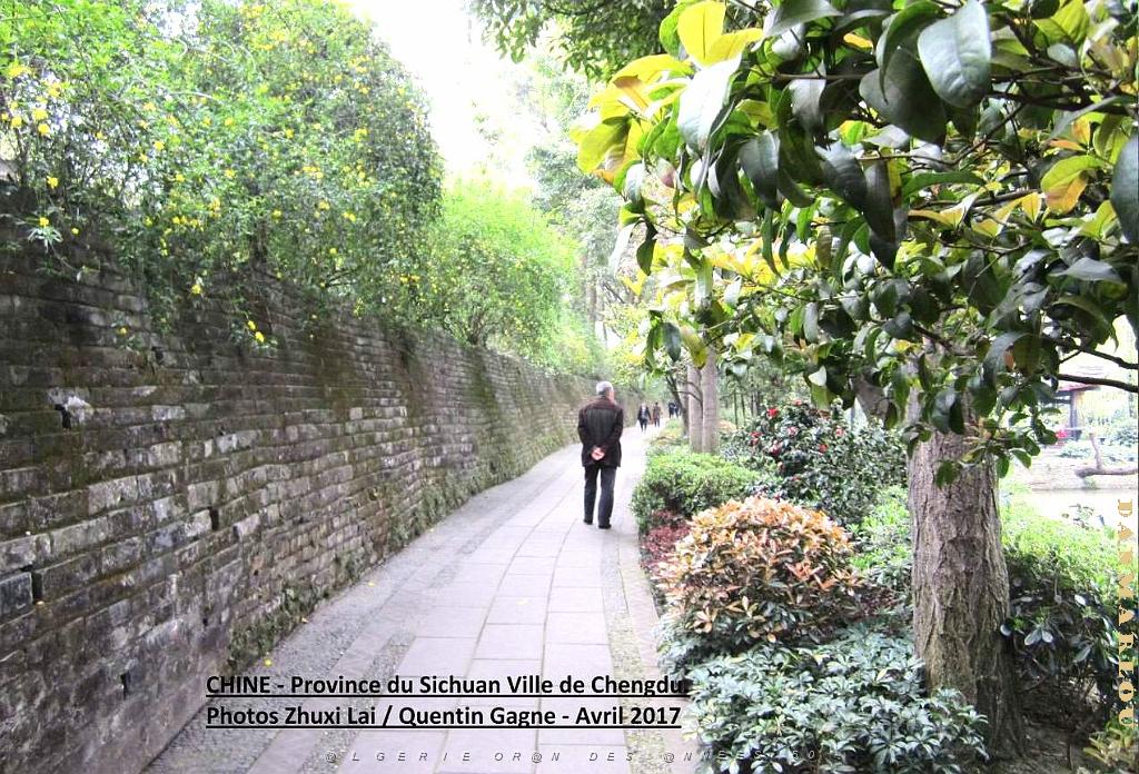 Chengdu avril 2017 - 029.JPG